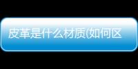 皮革是什么材质(如何区分皮革)
