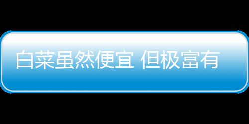 白菜虽然便宜 但极富有营养！