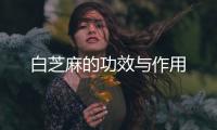 白芝麻的功效与作用