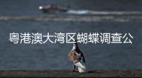 粤港澳大湾区蝴蝶调查公民科学行动启动｜科学驿站