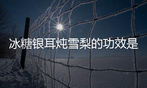 冰糖银耳炖雪梨的功效是什么呢
