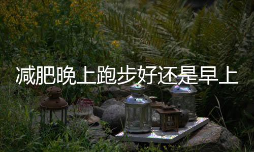 减肥晚上跑步好还是早上跑步比较好呢?