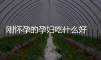 刚怀孕的孕妇吃什么好 孕妇吃这些身体棒