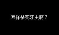 怎样杀死牙虫啊？