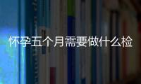 怀孕五个月需要做什么检查