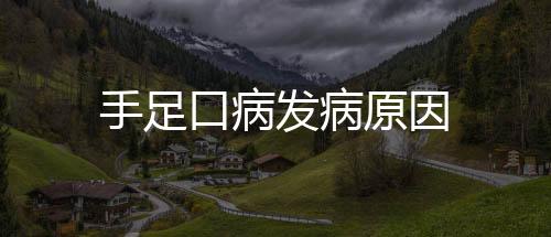 手足口病发病原因
