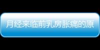 月经来临前乳房胀痛的原因