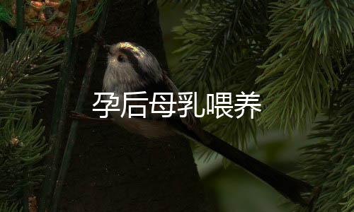 孕后母乳喂养