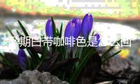 孕期白带咖啡色是怎么回事