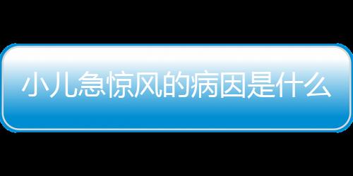 小儿急惊风的病因是什么
