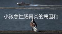 小孩急性肠胃炎的病因和治疗办法