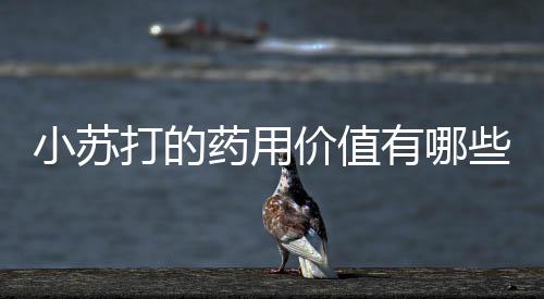 小苏打的药用价值有哪些
