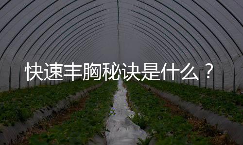 快速丰胸秘诀是什么?