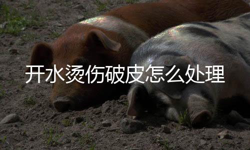 开水烫伤破皮怎么处理