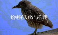 蛤蜊的功效与作用